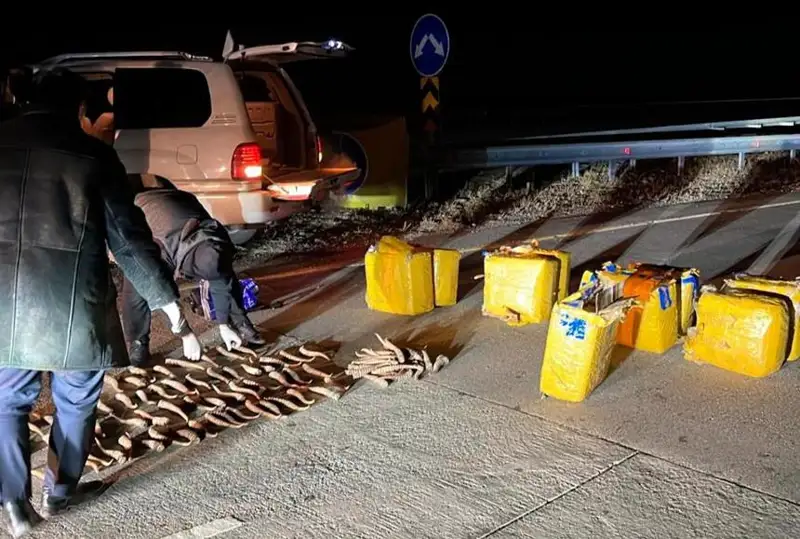 Более 100 кг рогов сайги изъяли у браконьеров в Жетысу