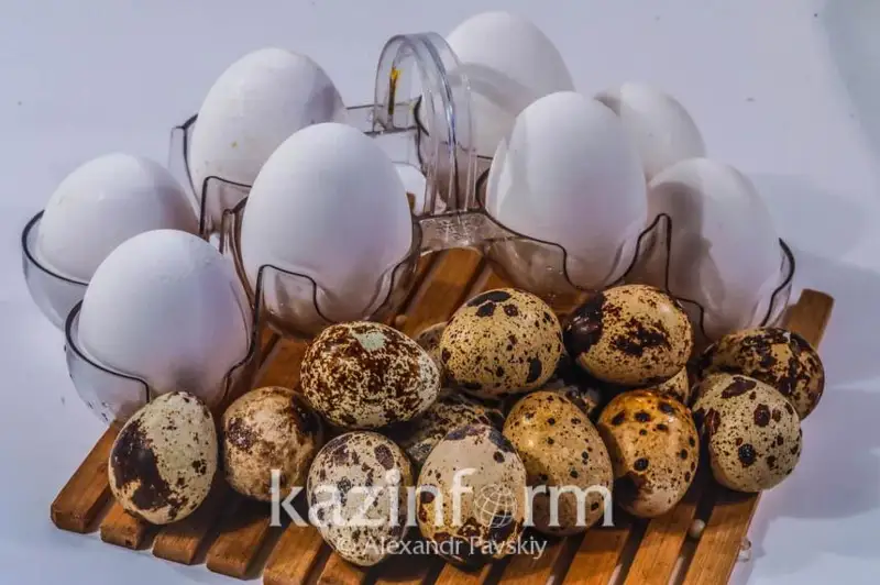 Ограничения на продажу куриных яиц объяснили в Атырау