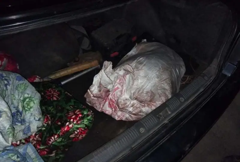 Браконьеров с мясом сайги в багажнике задержали полицейские Улытауской области