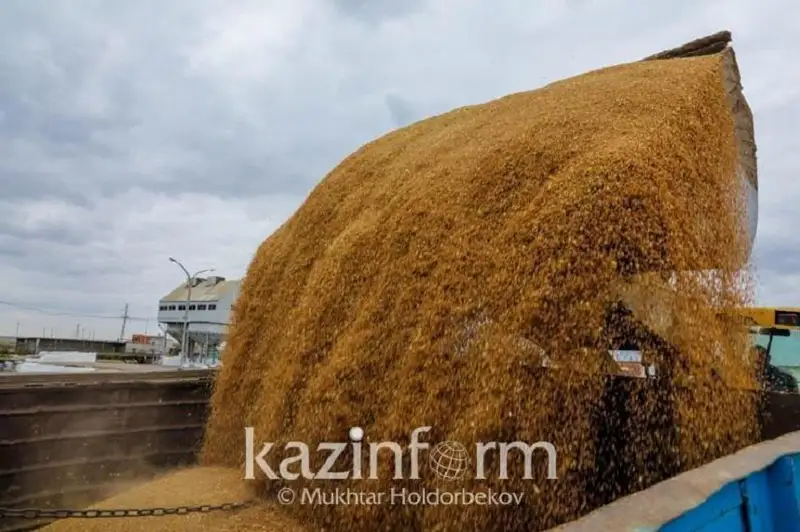 Куда экспортирует продукцию Северо-Казахстанская область