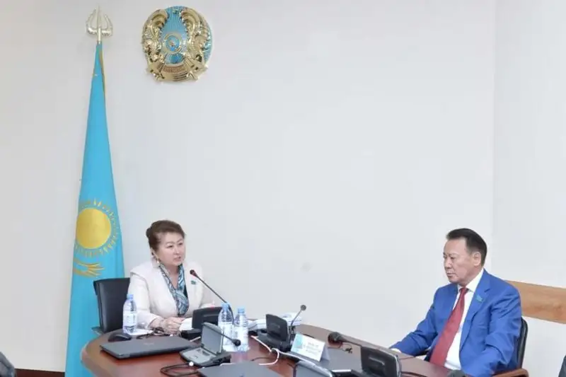 Сенаторы встретились с медиаторами в регионах