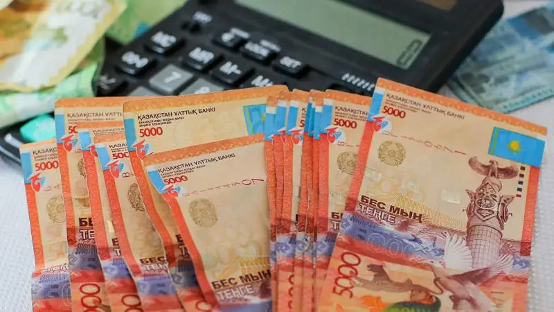 قازاقستاندا ەڭ تومەنگى جالاقىنى كوتەرۋدىڭ اشىق جۇيەسى جوق - دەپۋتات