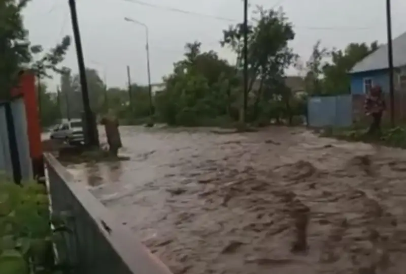Два поселка затопило в Алматинской области из-за дождя