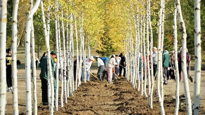 Березовая роща появилась в Президентском парке в Астане