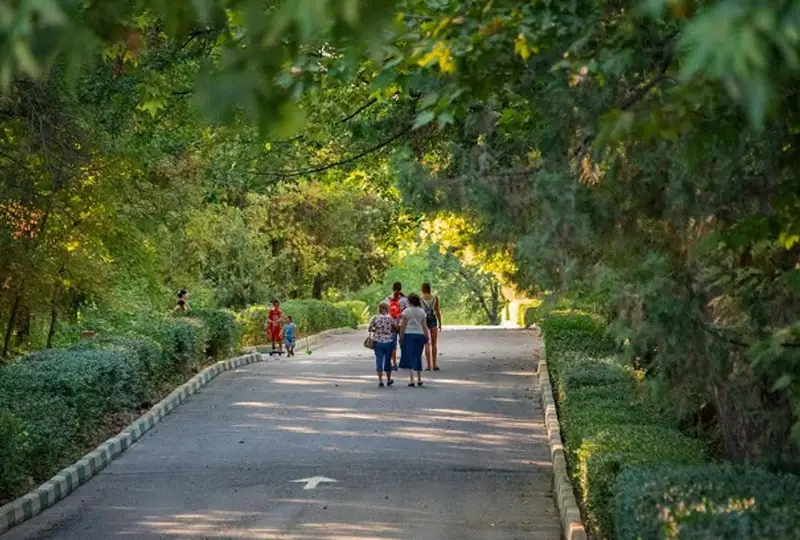 Концепцию первого в Павлодаре экопарка предложили разработать горожанам
