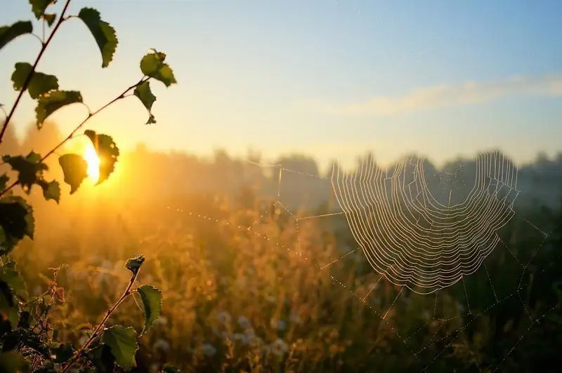 ۇسىك، نايزاعاي، شاڭدى داۋىل: 23-قىركۇيەككە ارنالعان اۋا رايى