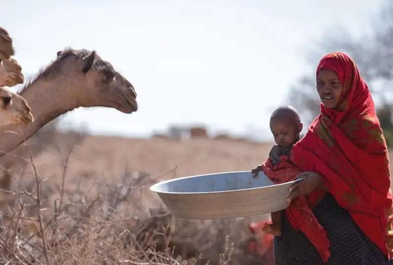 Более 16 млн человек страдают от засухи в Африке