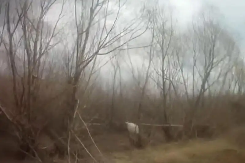 Наркодилера с крупной партией синтетики задержали в лесополосе Нур-Султана