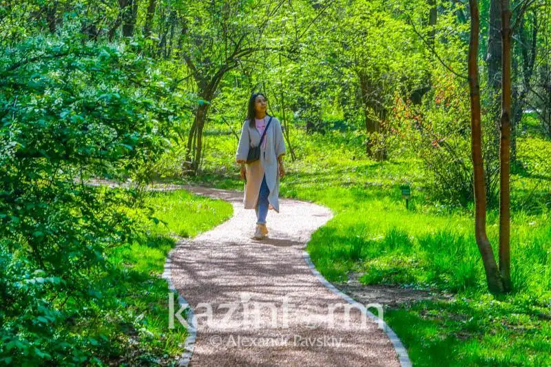 Более 58% казахстанцев чувствуют себя в безопасности на улице