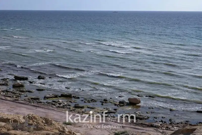 Kaspıı ıtbalyqtaryn qorǵaý úshin qandaı sharalar qolǵa alynǵan