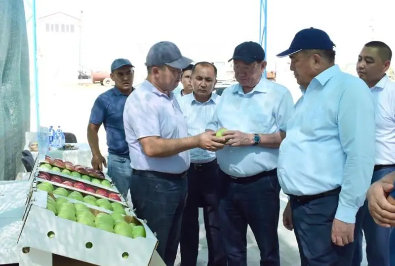 Сенаторы посетили ряд объектов в Жамбылской и Туркестанской областях