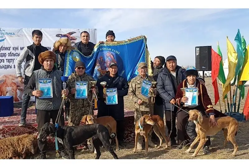 Павлодарские и омские тазы сразились в беге за кроликами