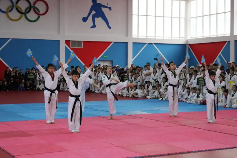 Кубок Казахстана по командной игре «Ордабасы» и тхэквондо состоялся в Таразе