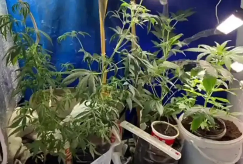 Две нарколаборатории ликвидировали в Костанае