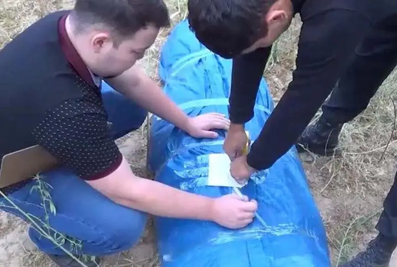 Более полутонны марихуаны изъяли у жителя Жамбылской области