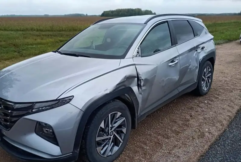 СҚО-да еліктің кесірінен үш көлік зақымданды