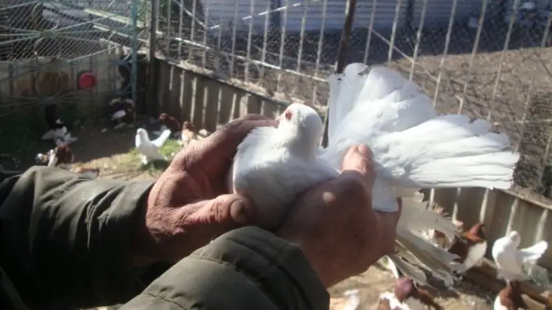 &ETH;&iexcl;&Ograve;&ETH; &Ntilde;&Ograve;&plusmn;&Ntilde;&Ograve;