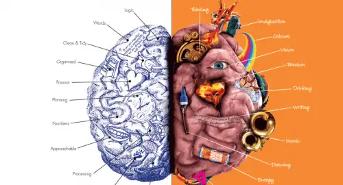 ميدىڭ جۇمىسىن ارتتىرۋ ءۇشىن نە ىستەۋ كەرەك؟