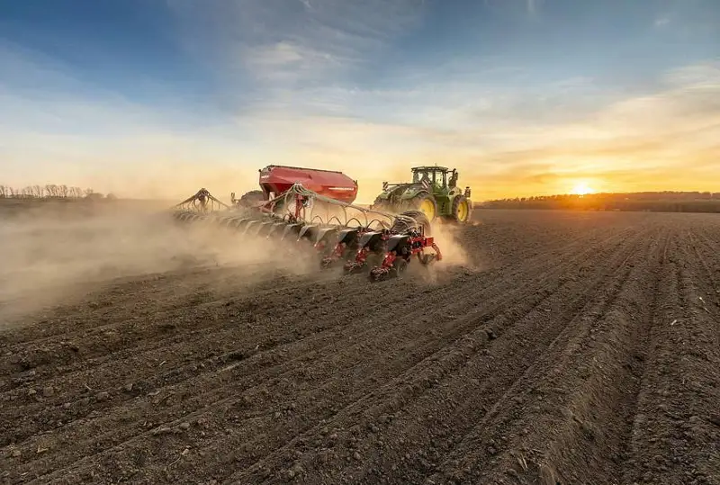 Костанайские аграрии засеяли зерновыми 87% запланированных площадей