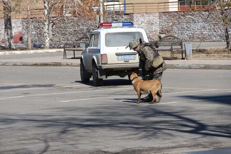 Павлодарда полиция лаңкестікке қарсы күрес жаттығуын өткізді