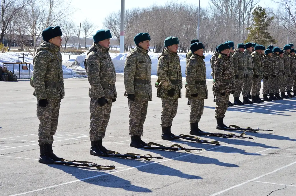 Қазақстанның Қарулы Күштерінде ауқымды тексеру  өтуде