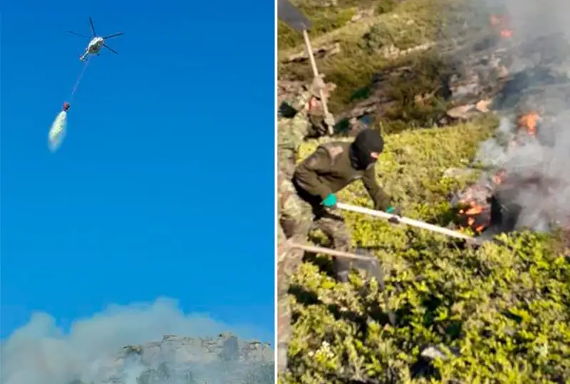 Пожар на территории лесничества в Карагандинской области ликвидировали