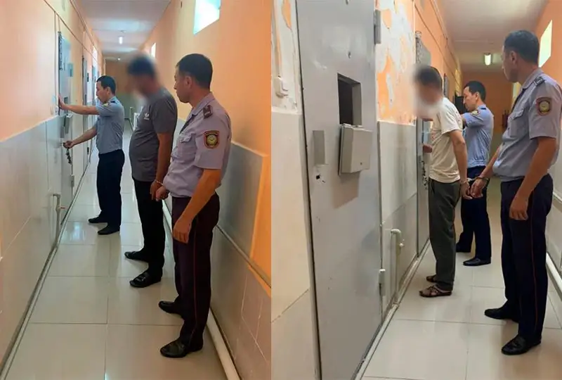 Двое иностранцев похитили отару овец в Туркестанской области