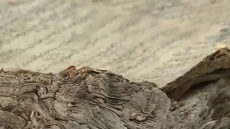 اقتوبە وبلىسىندا شامامەن ءبىر جارىم عاسىر بۇرىن جارىق كورگەن كىتاپ تابىلدى