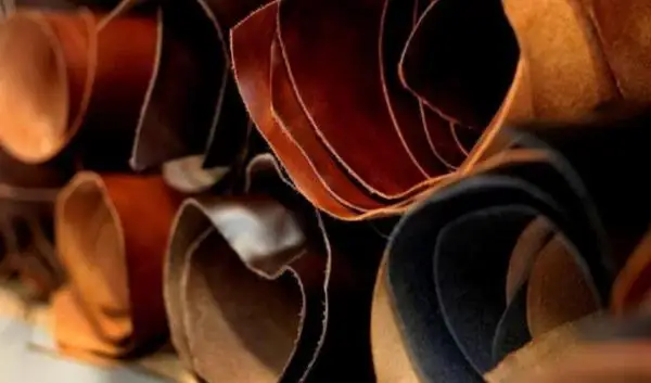 تەرى ەكسپورتىنان وتاندىق وندىرۋشىلەر 2 ميلليون دوللاردان استام پايدا تاپتى