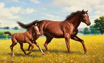 اداي جىلقىسى - قازاقتىڭ باعزى تاريحىنان قالعان تابيعي تازا تەك