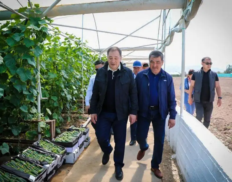 Малые предприятия открываются в Жамбылской области