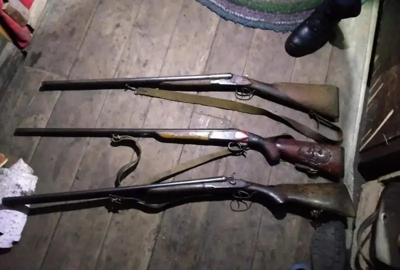 Несколько ружей незаконно хранил житель СКО