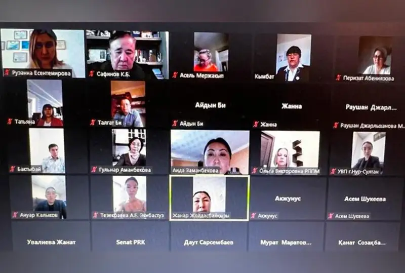 Сенатор Канатбек Сафинов обсудил проблемы медиаторов