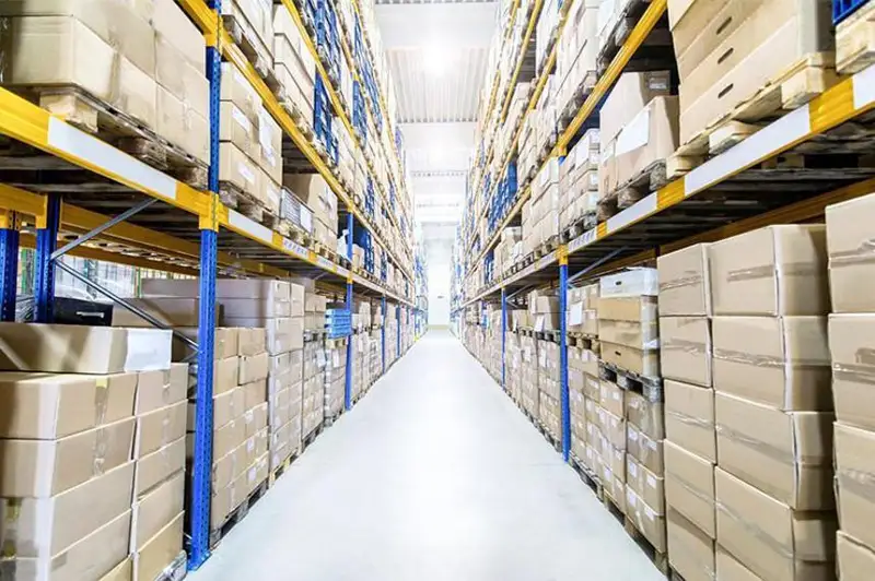 Правительство заволокитило проект с оптово-распределительными сетями – Президент