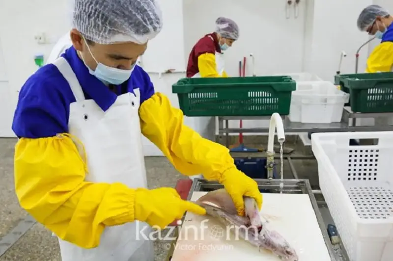 Рыбоводные хозяйства не получают причитающиеся им субсидии – депутат