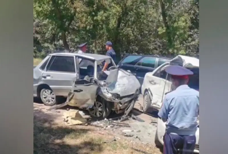 Almaty oblysynda kólik apatynan 11 jastaǵy bala mert boldy