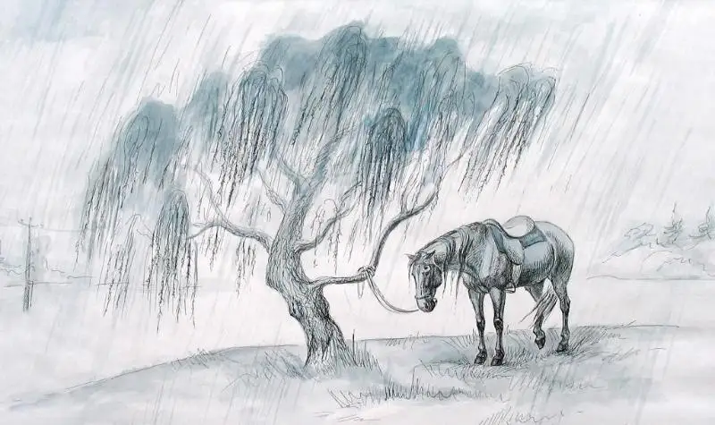 كەبەنەك كيگەن قايدان كەلەدى؟