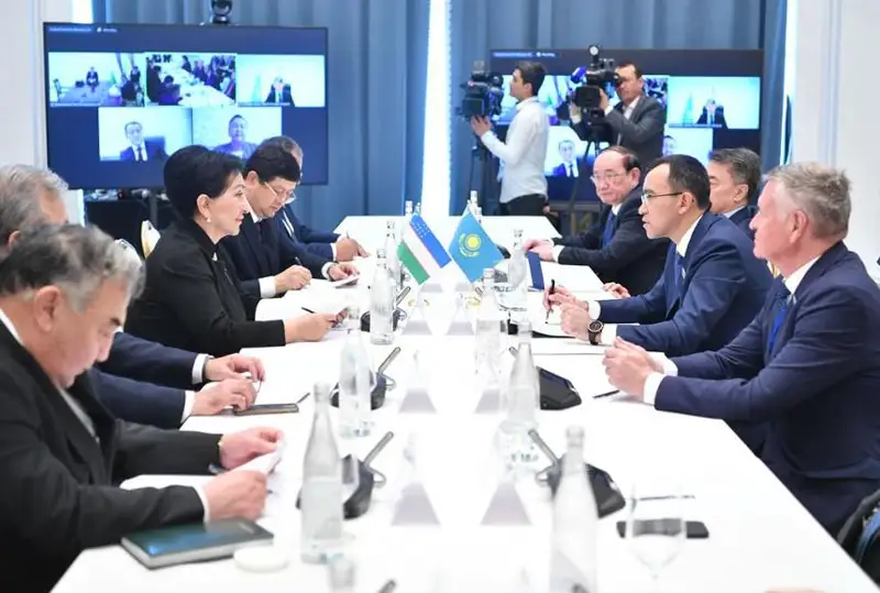 Проблему Аральского моря обсудили сенаторы Казахстана и Узбекистана