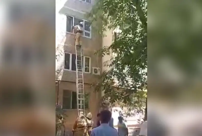 Shymkentte ana men bala óz páterinde ýlanyp qala jazdady