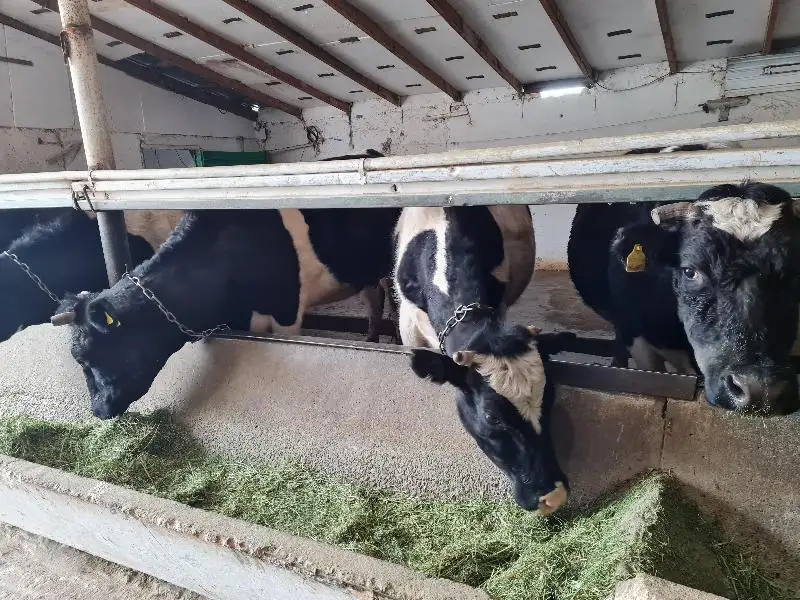 Сокращение безработных и получателей АСП – жамбылцы подводят итоги пилотного проекта по повышению доходов сельчан