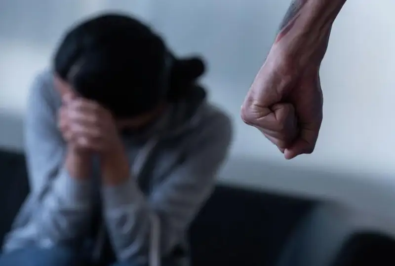 Правозащитница просит увеличить срок защитного предписания в отношении дебоширов