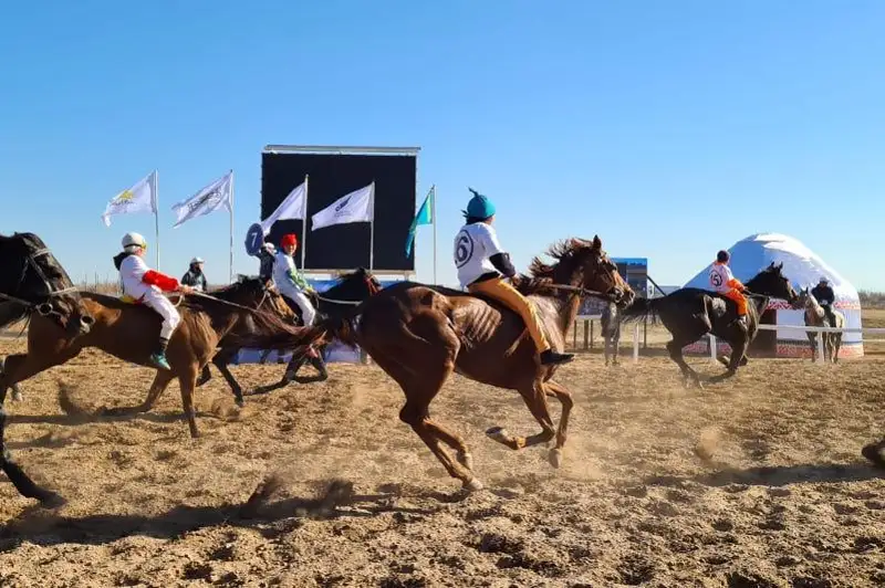 رەسپۋبليكالىق تۋرنيردە اسىل تۇقىمدى ات مارەگە جەتكەندە ءولىپ كەتتى - ۆيدەو