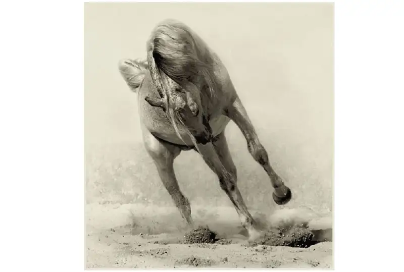 اتبەگىلىك - اسىل ونەر