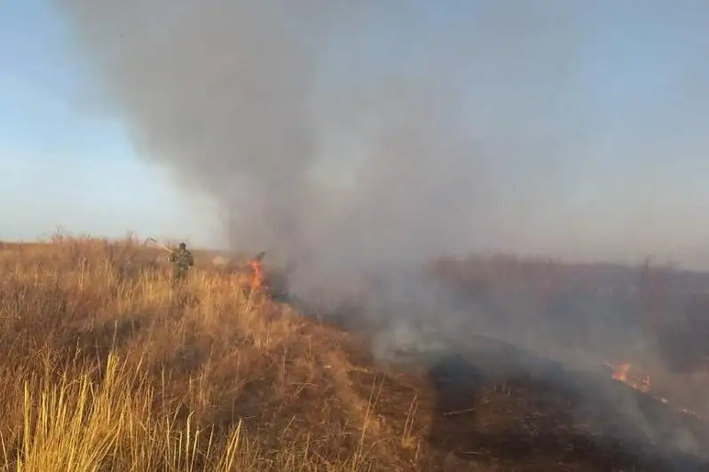 В Восточном Казахстане зафиксированы шесть случаев возгораний травы за неделю