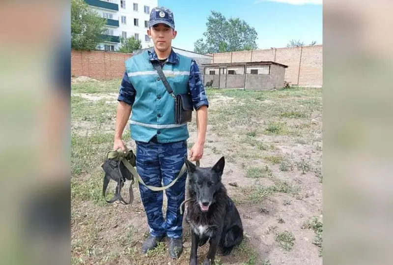 Кинолог спас мальчика от падения из окна в ВКО