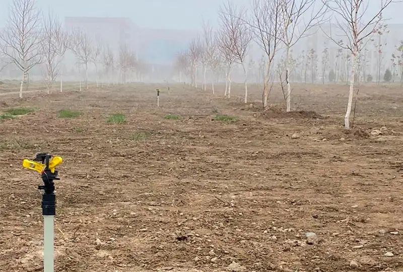 Капельное орошение обеспечили высаженным деревьям в новом микрорайоне Тараза