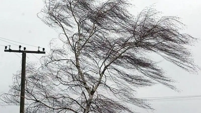 Штормовое предупреждение объявили в пяти регионах страны