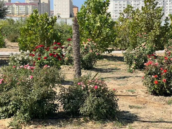 Ботанический сад открыли в Актау