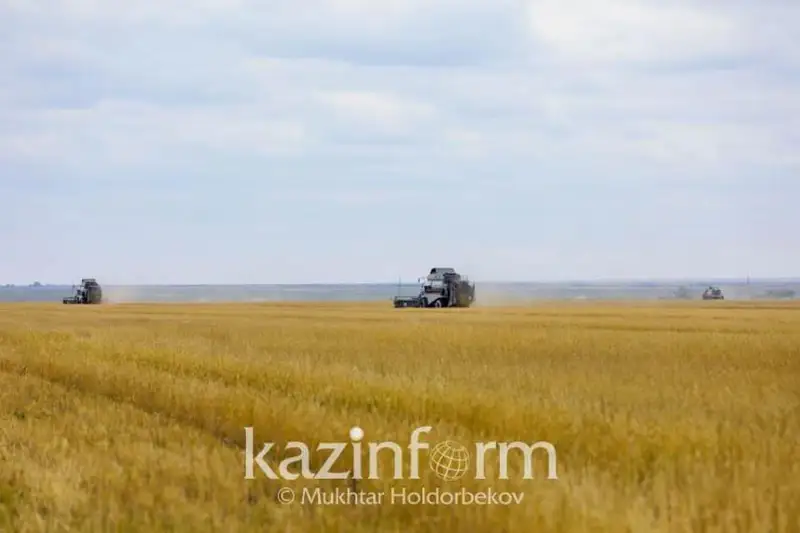 5,2 mln gektar aýyl sharýashylyǵy jeri memlekettik menshikke qaıtaryldy