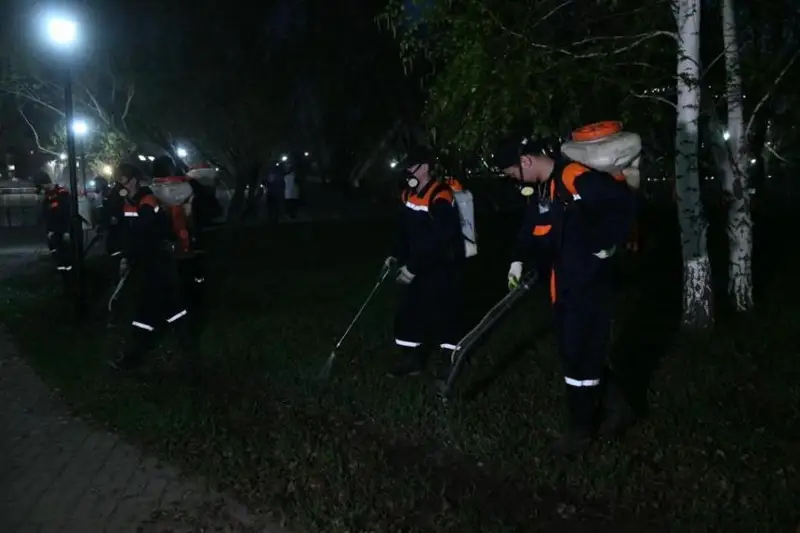 Дезинсекцию парков и улиц проводят в Нур-Султане